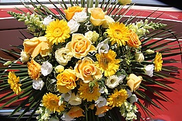 束鮮花,夏季鮮花,玫瑰