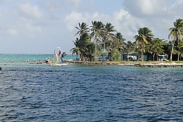 海灘,棕櫚樹,sanandres