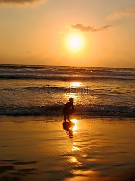 男孩,海,日落