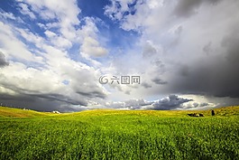 景觀,自然,春