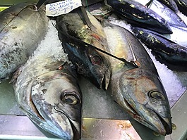 魚,海鮮,健康