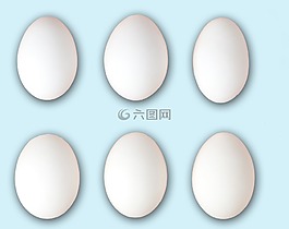 蛋,雞雞蛋,雞