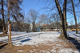 公園,樹,雪