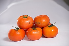 西红柿,越南,大番茄