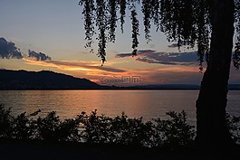 日落,夕陽,湖