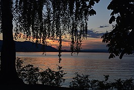 日落,夕陽,湖