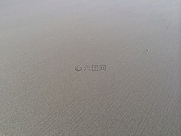 沙,海灘,海岸