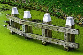 運(yùn)河,水,泡沫