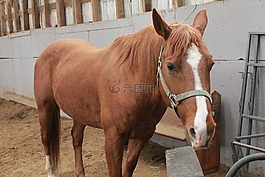馬,場,穩(wěn)定