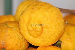 檸檬,黃色,水果