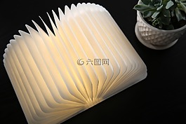 書,植物,擺拍