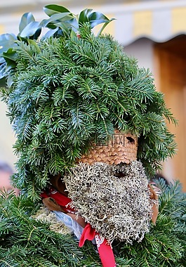 silvesterchlaus,冬青树,掩码
