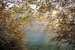 秋季森林,森林,秋天的顏色