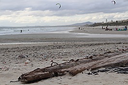 海灘,海,海岸