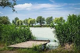 里德,湖,景觀