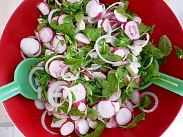 radischen,沙拉,蔬菜