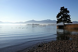基姆湖,上部巴伐利亞,樹