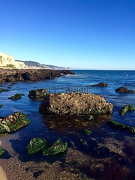 太平洋海岸,低潮,海洋