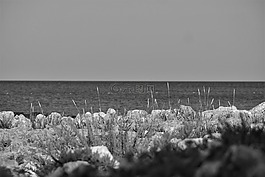 海灘,海,水
