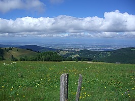 转储,münstertal,莱茵河谷