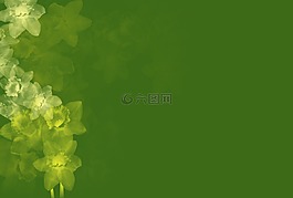 背景,綠色,春天