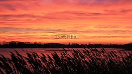 日落,樹木,湖