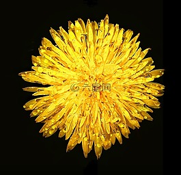 鮮花,花卉,宏