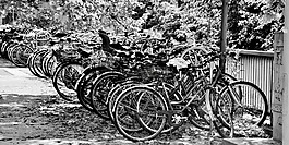 自行車,車輪,自行車架