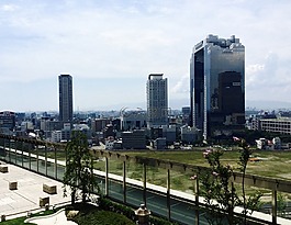 日本,大阪,條例草案