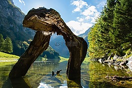 seealpsee,水,大自然