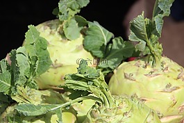 大头菜,科尔,根菜类蔬菜