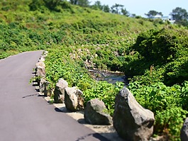 濟(jì)州島,夏天,大韓民國