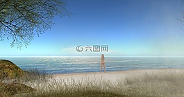 海,景觀,女子