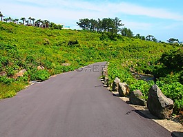 濟(jì)州島,夏天,大韓民國