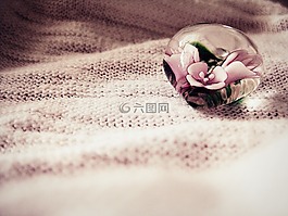 鲜花,玻璃杯里的花朵,装修