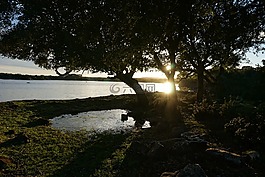 光,陽光,日落