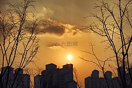 生活,咖啡,甜