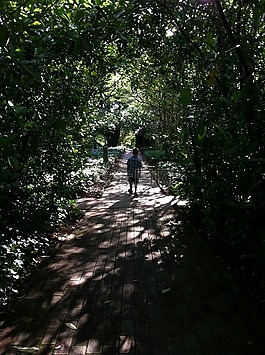 男孩,兒童,花園