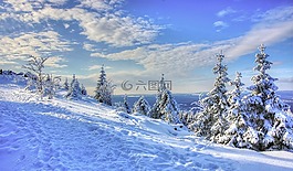 雪,冬天,冷