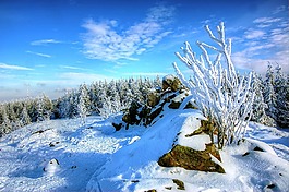 雪,冬天,冷