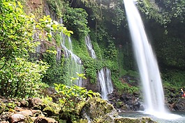瀑布,自然旅游,樹(shù)