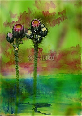 水彩色,畫,芽