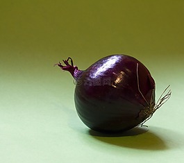 洋葱,zwiebelig,zwiebelpflanze