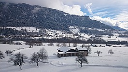 冬季景觀,山,雪