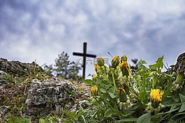 徒步旅行,蒲公英,巖