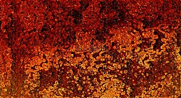 紋理,背景,結(jié)構(gòu)