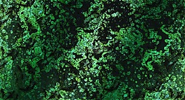 紋理,背景,結(jié)構(gòu)