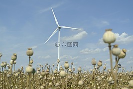 能源,poppyhead,场