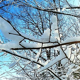 冬天,雪,凍結(jié)的