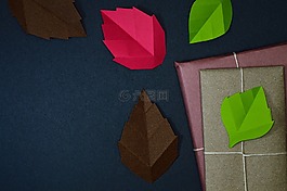 叶,秋,性质